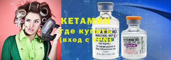 крисы Бородино