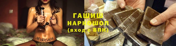 крисы Бородино