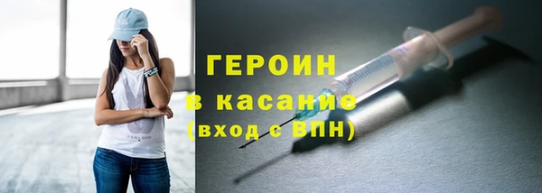 крисы Бородино