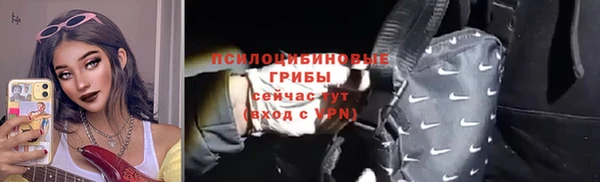 крисы Бородино