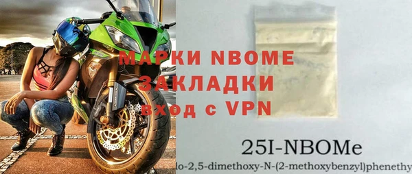 крисы Бородино