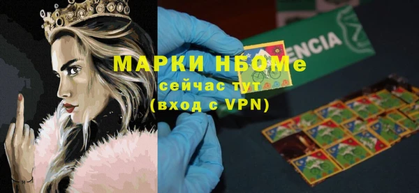 крисы Бородино