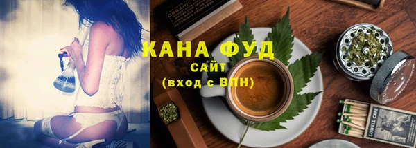 крисы Бородино