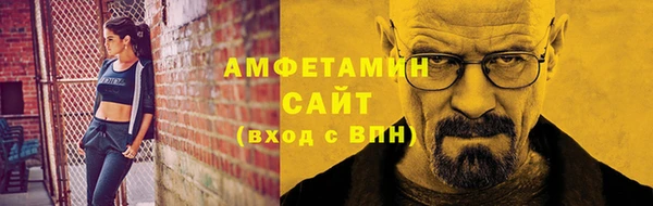 крисы Бородино