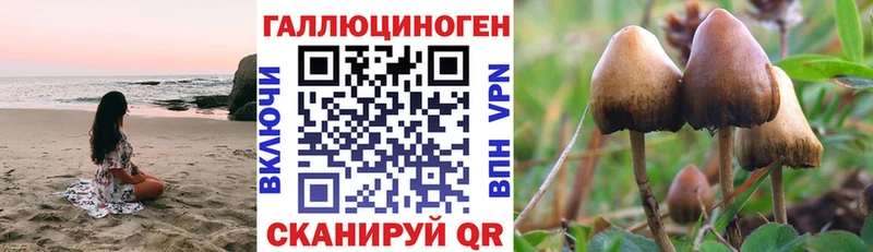 Галлюциногенные грибы Psilocybe  ОМГ ОМГ вход  Нелидово 